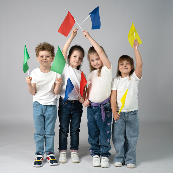 Флажки на пластиковой палочке 12 штук фото 4