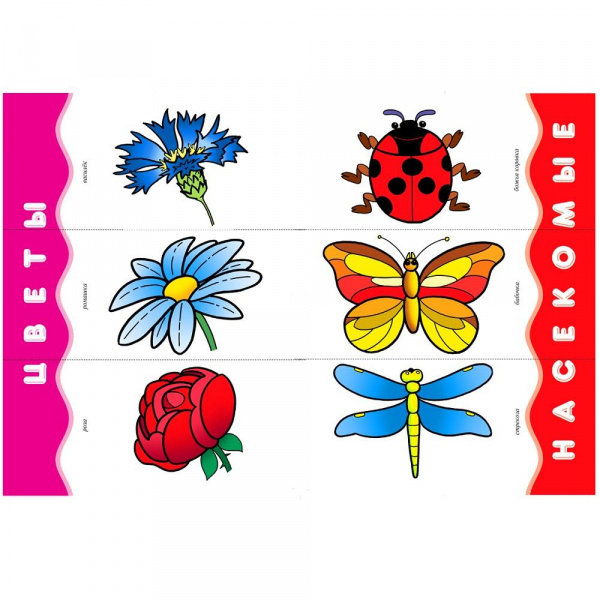 Стартовый набор 1+ фото 7