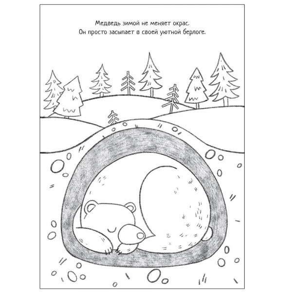 Познавательная раскраска Времена года фото 2