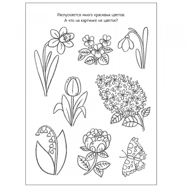 Познавательная раскраска Времена года фото 3