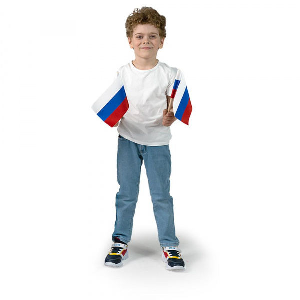 Флажки России фото 3