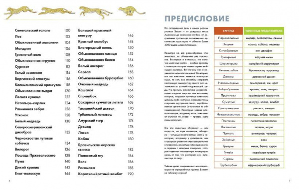 Визуальная энциклопедия Животные фото 3