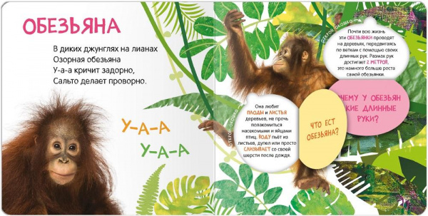 Книжка с окошками Кто где живет фото 2