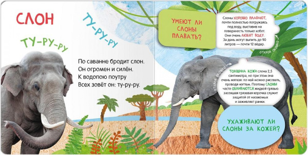 Книжка с окошками Кто где живет фото 3