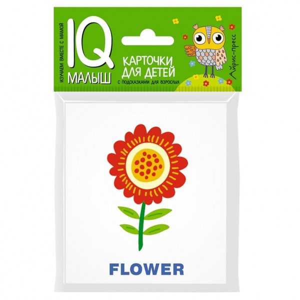 Карточки «Умный малыш English – Растения», Айрис-Пресс