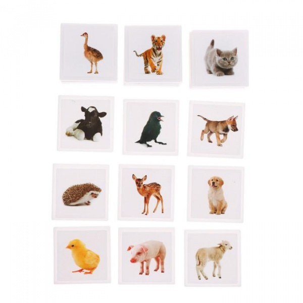 Полезный чемоданчик Животные и их детёныши фото 4