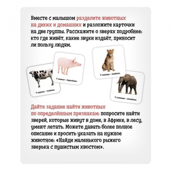 Полезный чемоданчик Животные и их детёныши фото 6