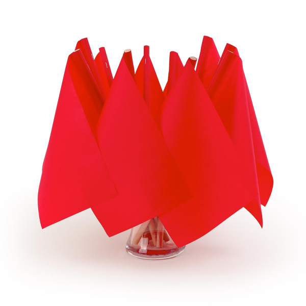 Флажки для сопровождения 10 штук фото 4