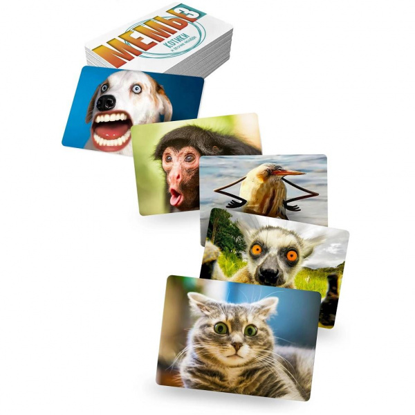 Игра Мемы 3 фото 3