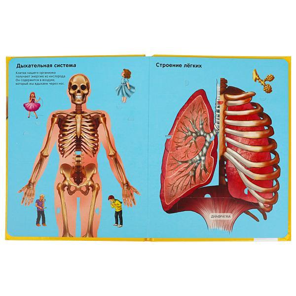 100 окошек Тело человека фото 3