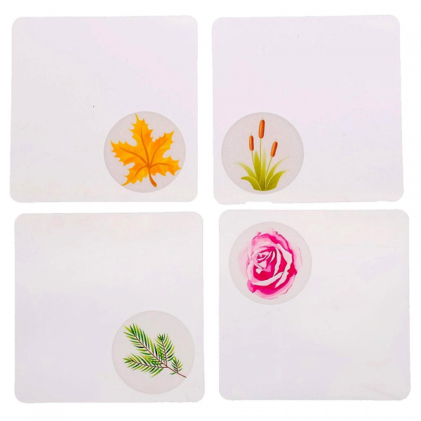 По грибы, по ягоды Что лишнее фото 5